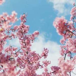 久久国产精品一区高潮
